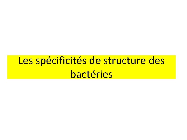 Les spécificités de structure des bactéries 