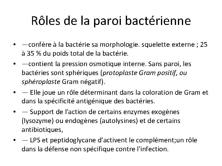 Rôles de la paroi bactérienne • —confère à la bactérie sa morphologie. squelette externe