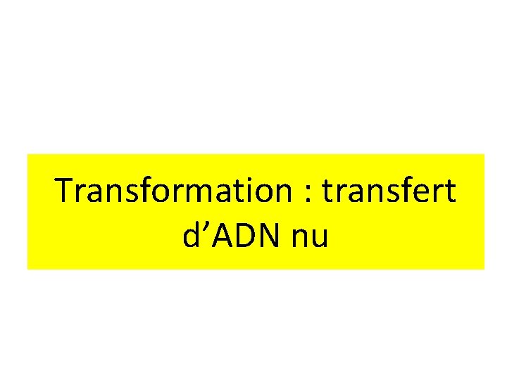 Transformation : transfert d’ADN nu 