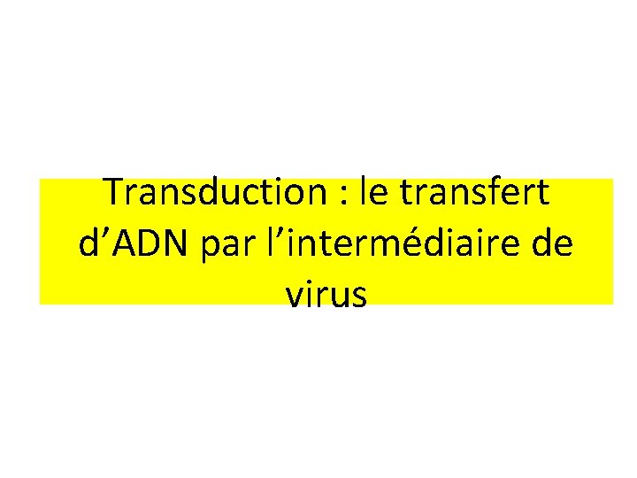 Transduction : le transfert d’ADN par l’intermédiaire de virus 