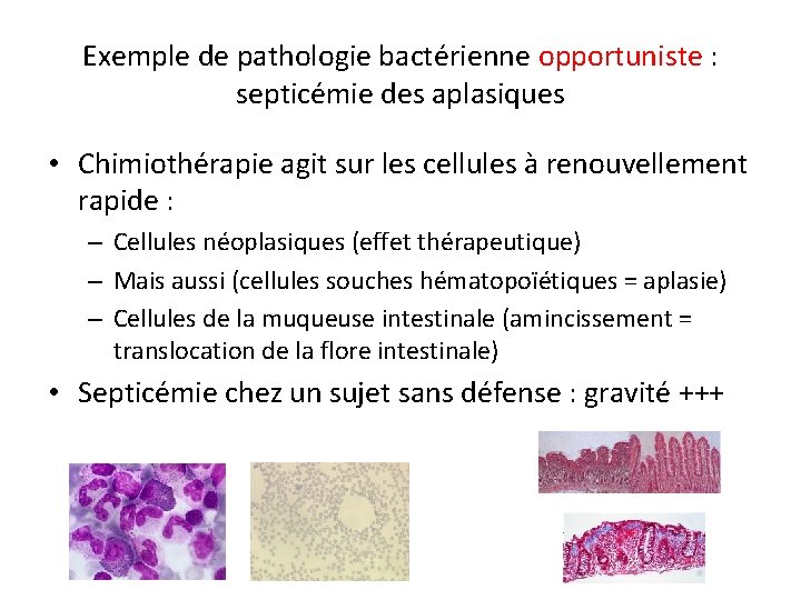 Exemple de pathologie bactérienne opportuniste : septicémie des aplasiques • Chimiothérapie agit sur les