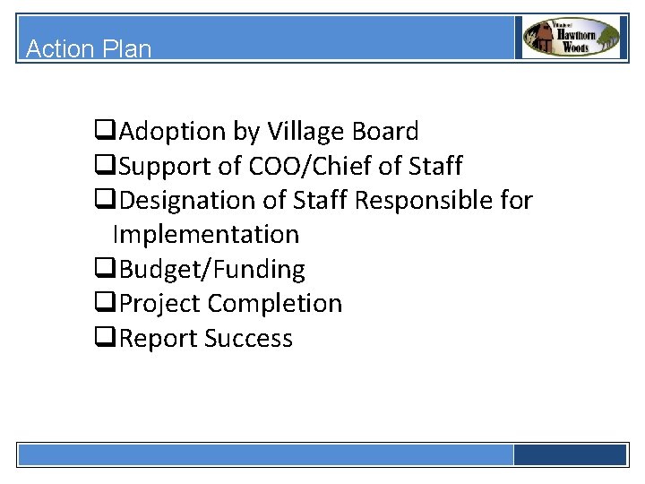 Action Plan q. Adoption by Village Board q. Support of COO/Chief of Staff q.