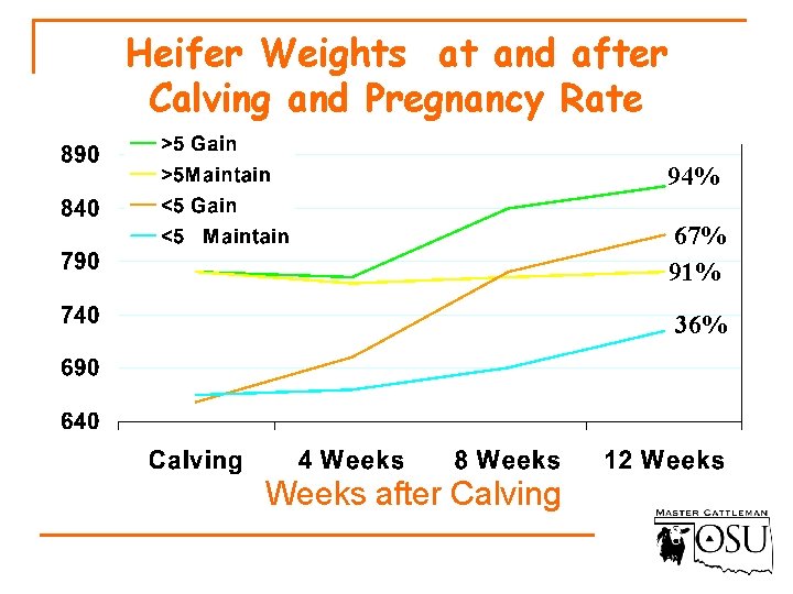 Heifer Weights at and after Calving and Pregnancy Rate 94% 67% 91% 36% Weeks