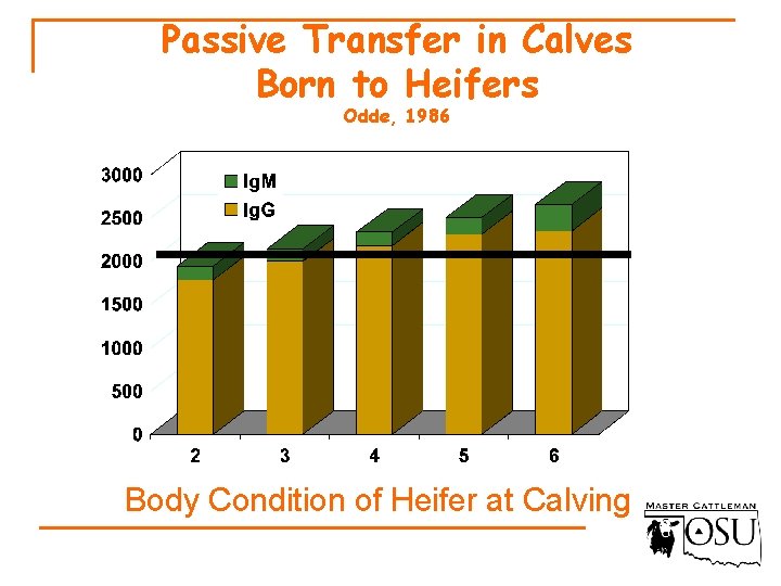 Passive Transfer in Calves Born to Heifers Odde, 1986 Body Condition of Heifer at