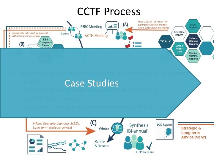 CCTF Process • Will serve as systematic on-ramp of information to Council process Case
