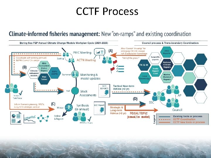 CCTF Process “Hot of the press” FOCAL TOPIC (annual / as needed) 