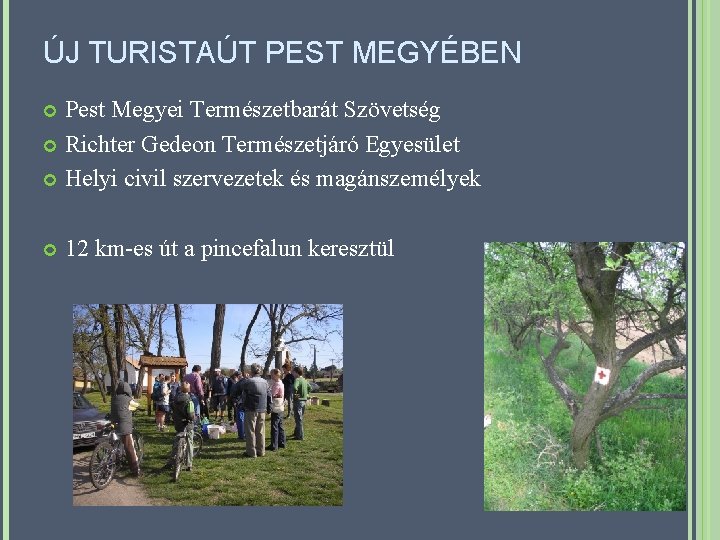 ÚJ TURISTAÚT PEST MEGYÉBEN Pest Megyei Természetbarát Szövetség Richter Gedeon Természetjáró Egyesület Helyi civil