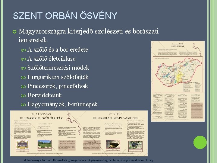 SZENT ORBÁN ÖSVÉNY Magyarországra kiterjedő szőlészeti és borászati ismeretek A szőlő és a bor