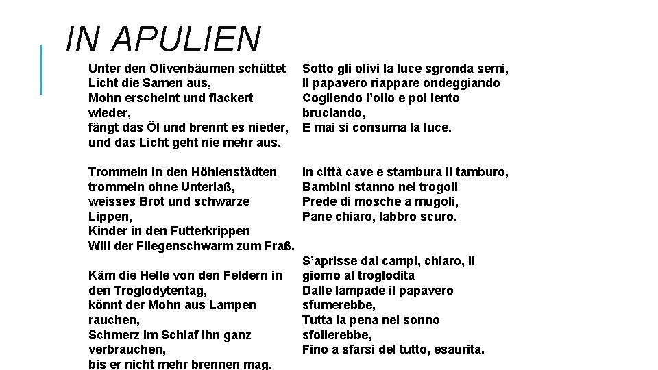 IN APULIEN Unter den Olivenbäumen schüttet Licht die Samen aus, Mohn erscheint und flackert