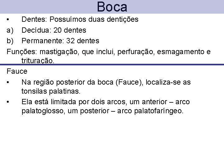 Boca • Dentes: Possuímos duas dentições a) Decídua: 20 dentes b) Permanente: 32 dentes