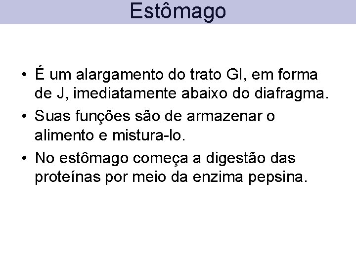 Estômago • É um alargamento do trato GI, em forma de J, imediatamente abaixo