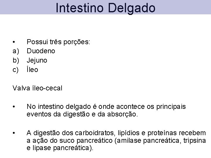 Intestino Delgado • a) b) c) Possui três porções: Duodeno Jejuno Íleo Valva íleo-cecal