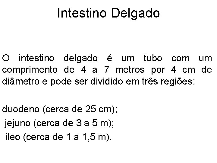 Intestino Delgado O intestino delgado é um tubo com um comprimento de 4 a