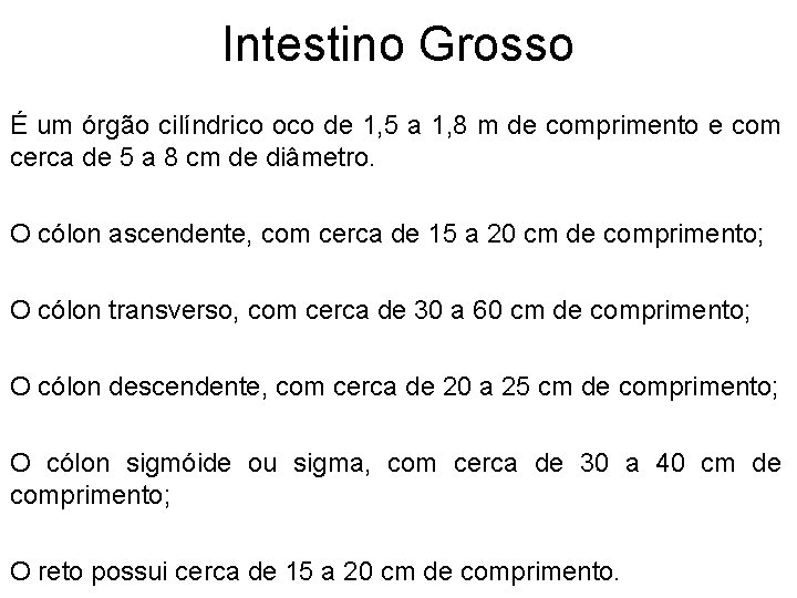 Intestino Grosso É um órgão cilíndrico oco de 1, 5 a 1, 8 m