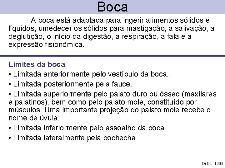 Boca A boca está adaptada para ingerir alimentos sólidos e líquidos, umedecer os sólidos