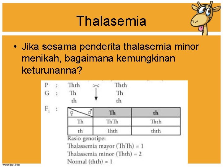 Thalasemia • Jika sesama penderita thalasemia minor menikah, bagaimana kemungkinan keturunanna? 