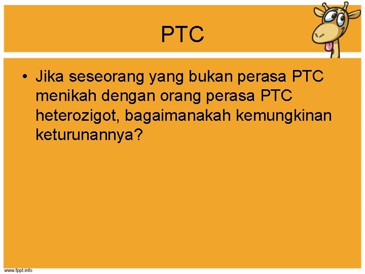 PTC • Jika seseorang yang bukan perasa PTC menikah dengan orang perasa PTC heterozigot,