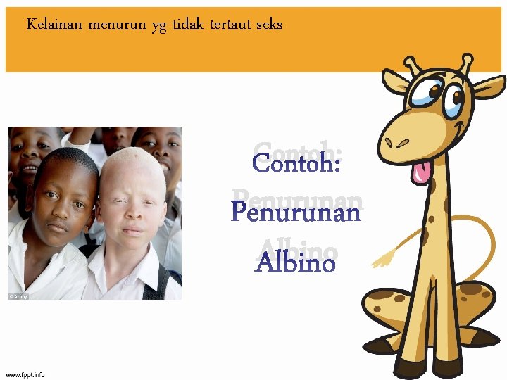 Kelainan menurun yg tidak tertaut seks Contoh: Penurunan Albino 