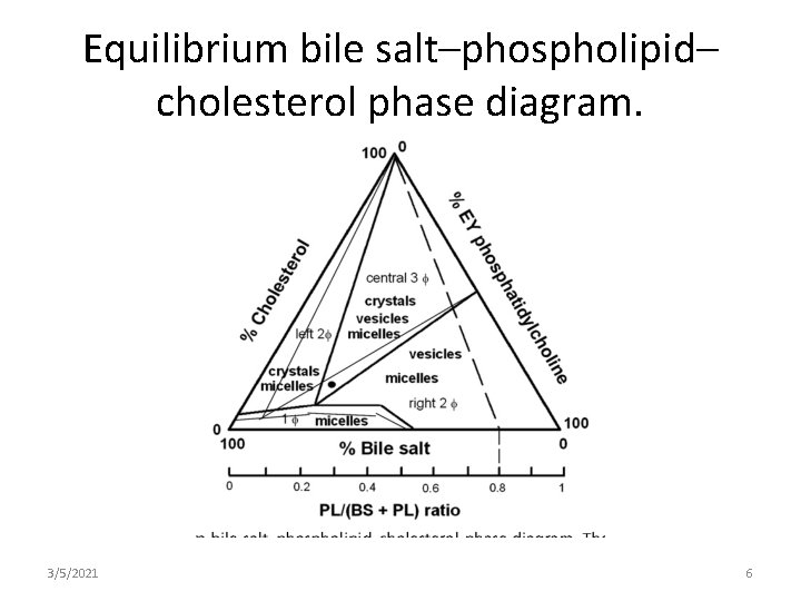 Equilibrium bile salt–phospholipid– cholesterol phase diagram. 3/5/2021 6 
