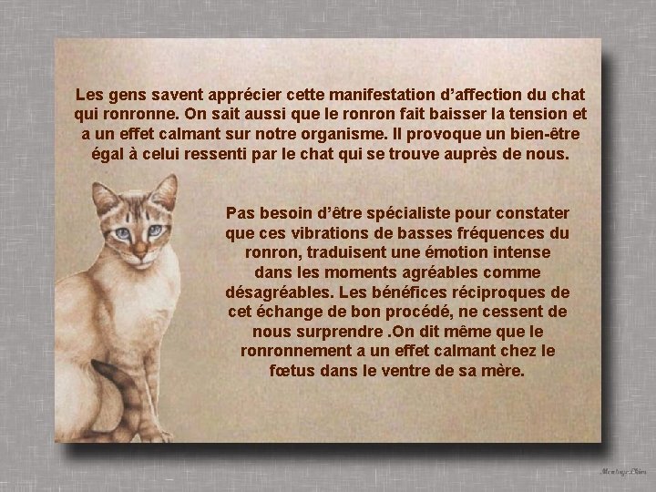 Les gens savent apprécier cette manifestation d’affection du chat qui ronronne. On sait aussi