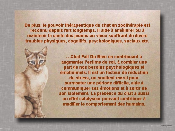 De plus, le pouvoir thérapeutique du chat en zoothérapie est reconnu depuis fort longtemps.