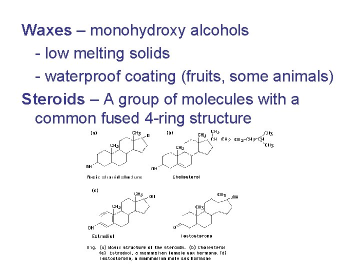 Waxes – monohydroxy alcohols - low melting solids - waterproof coating (fruits, some animals)