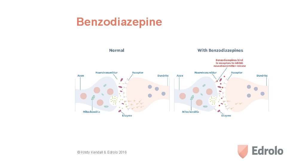 Benzodiazepine © Kristy Kendall & Edrolo 2016 