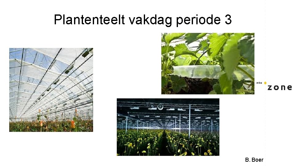 Plantenteelt vakdag periode 3 B. Boer Plantenteelt vakdag periode 3 B. Boer