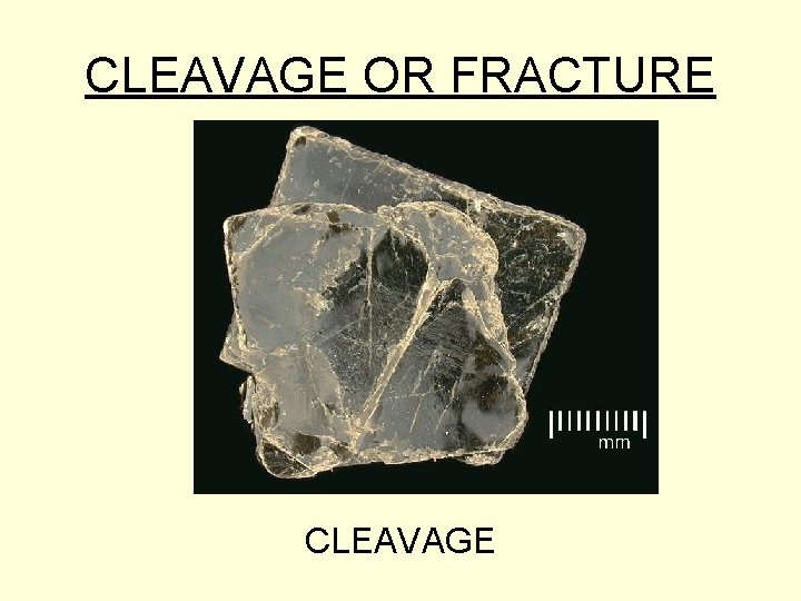 CLEAVAGE OR FRACTURE CLEAVAGE 