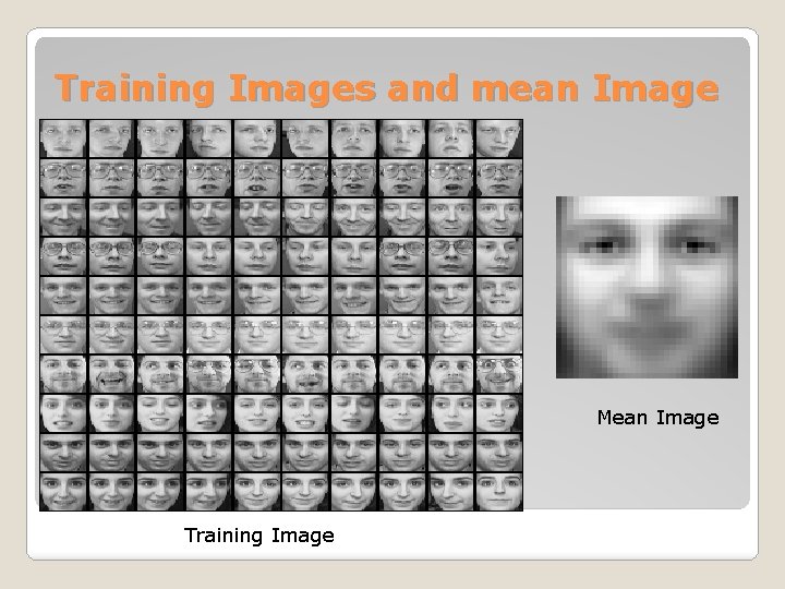Training Images and mean Image Mean Image Training Image 