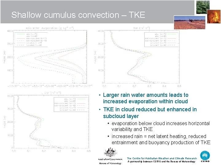 Shallow cumulus convection – TKE • Larger rain water amounts leads to increased evaporation