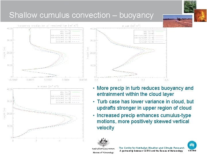 Shallow cumulus convection – buoyancy • More precip in turb reduces buoyancy and entrainment