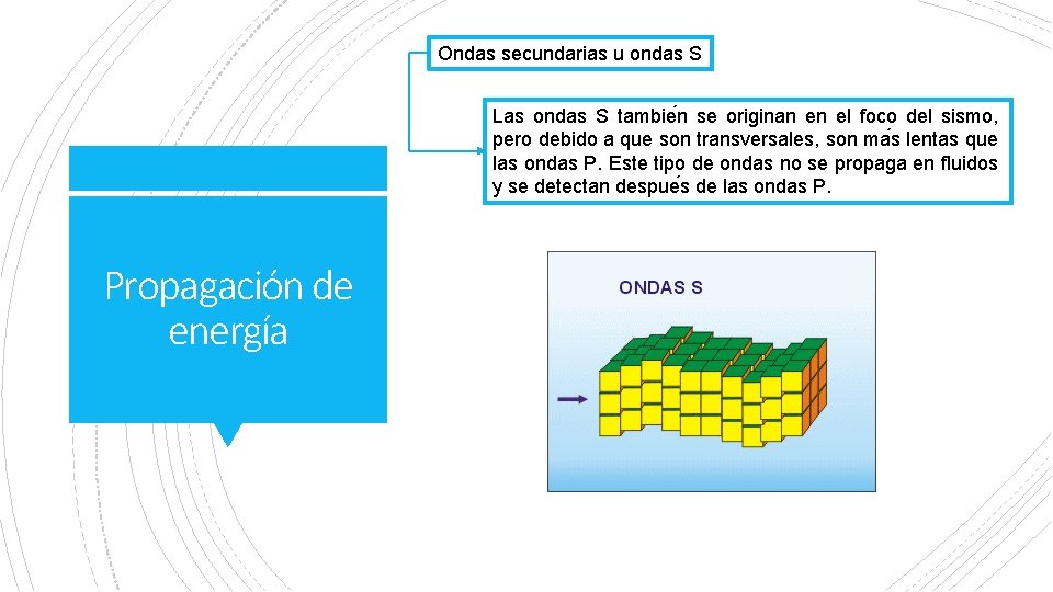 Ondas secundarias u ondas S Las ondas S tambie n se originan en el