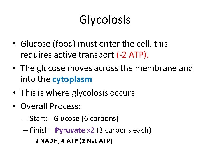 Glycolosis • Glucose (food) must enter the cell, this requires active transport (-2 ATP).
