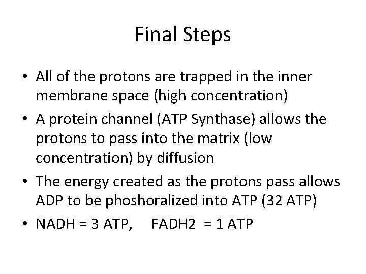 Final Steps • All of the protons are trapped in the inner membrane space