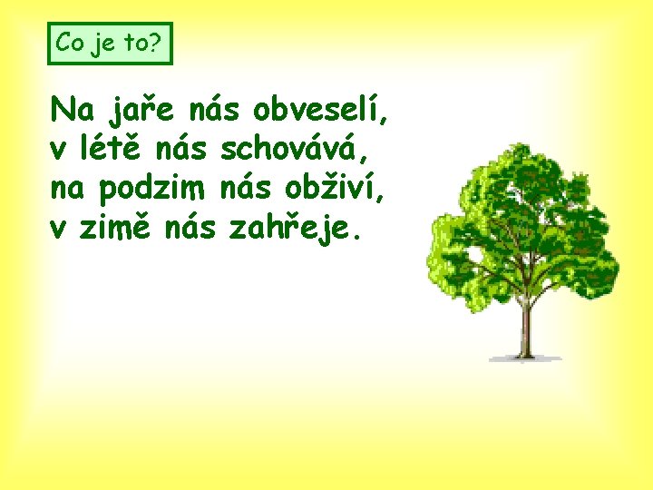 Co je to? Na jaře nás obveselí, v létě nás schovává, na podzim nás