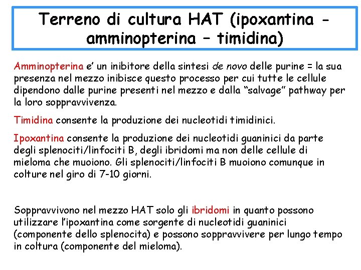 Terreno di cultura HAT (ipoxantina amminopterina – timidina) Amminopterina e’ un inibitore della sintesi