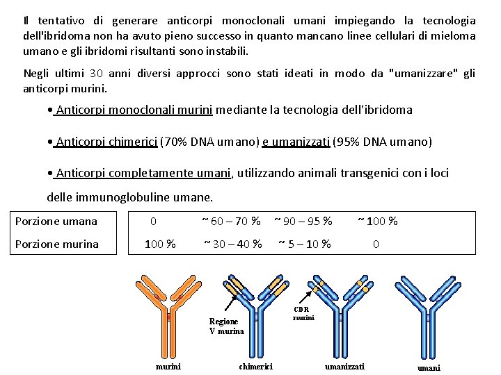 Il tentativo di generare anticorpi monoclonali umani impiegando la tecnologia dell'ibridoma non ha avuto
