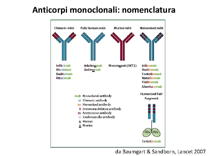 Anticorpi monoclonali: nomenclatura da Baumgart & Sandborn, Lancet 2007 