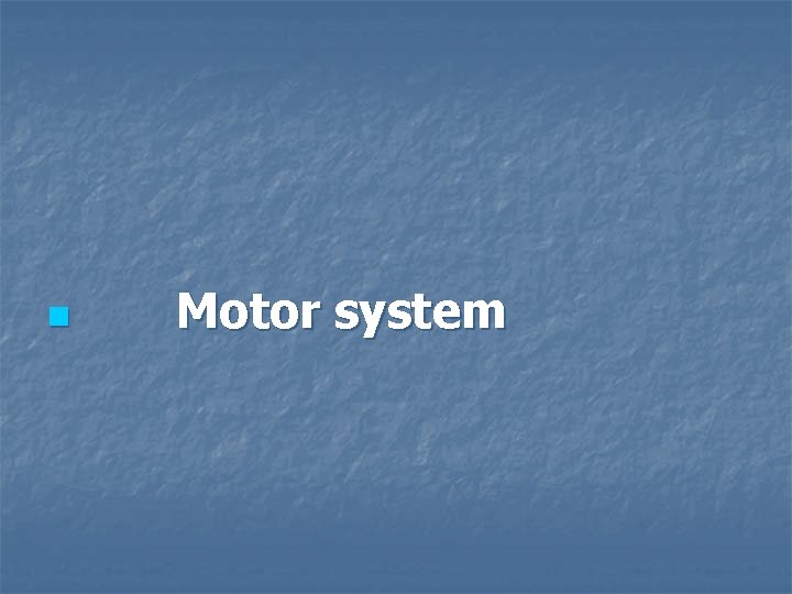 n Motor system 