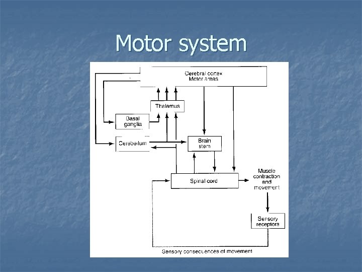 Motor system 