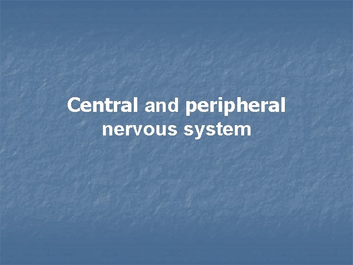 Central and peripheral nervous system 