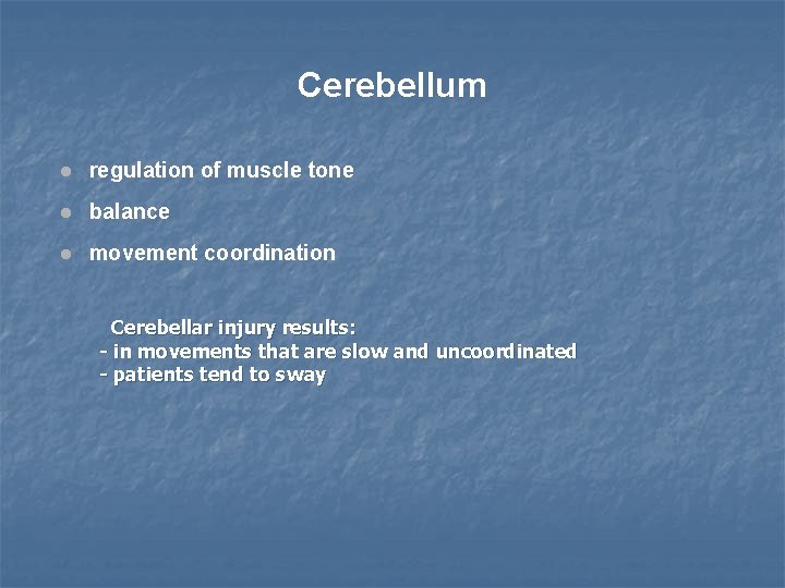 Cerebellum regulation of muscle tone balance movement coordination Cerebellar injury results: - in movements