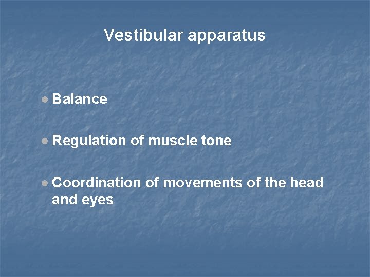 Vestibular apparatus Balance Regulation of muscle tone Coordination of movements of the head and