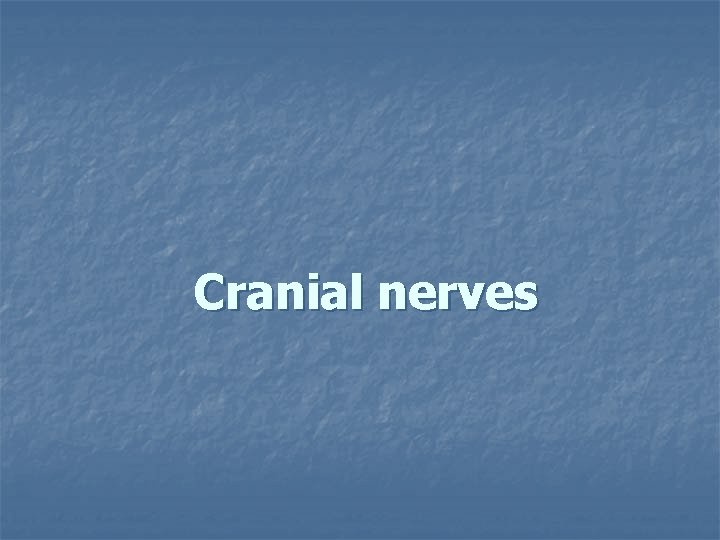  Cranial nerves 