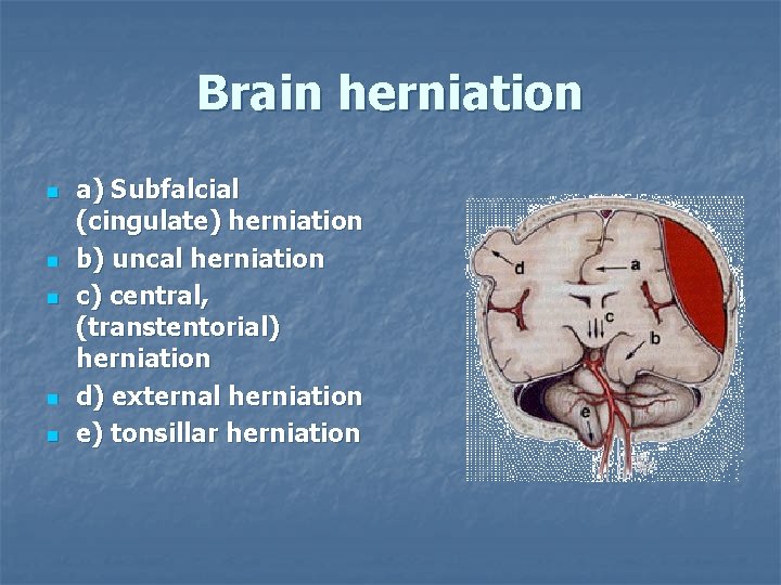 Brain herniation n n a) Subfalcial (cingulate) herniation b) uncal herniation c) central, (transtentorial)