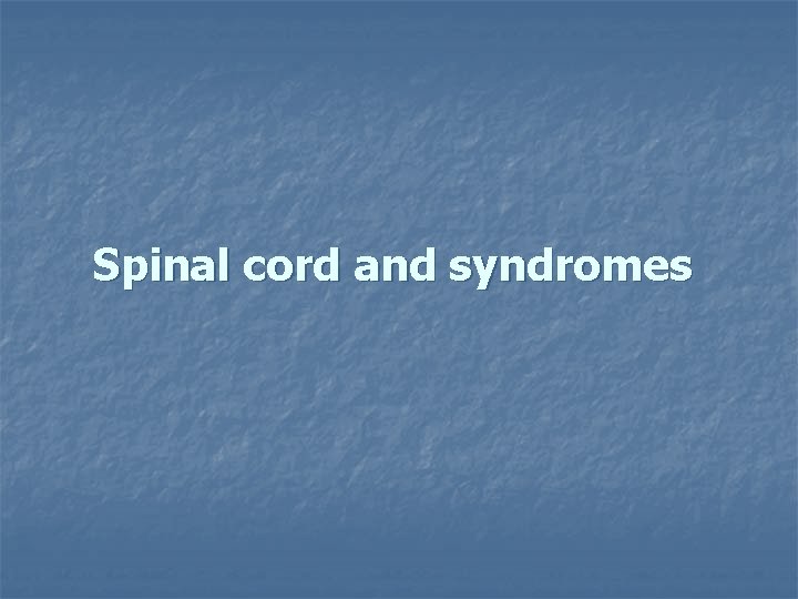 Spinal cord and syndromes 