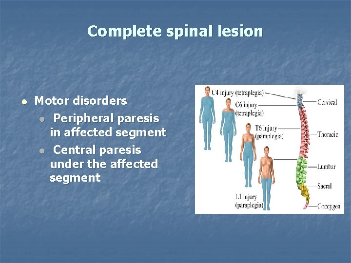 Complete spinal lesion Motor disorders Peripheral paresis in affected segment Central paresis under the