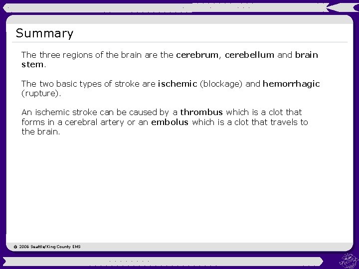 Summary The three regions of the brain are the cerebrum, cerebellum and brain stem.