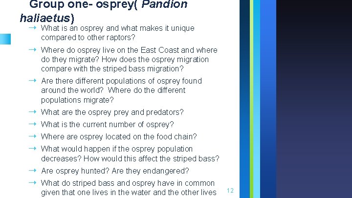Group one- osprey( Pandion haliaetus) ➝ What is an osprey and what makes it